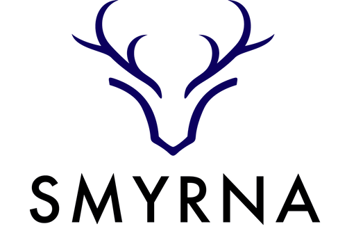 Smyrna — Kunde der dalistovision group